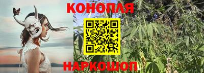 скорость Долгопрудный
