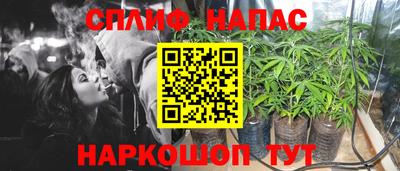 индика Добрянка