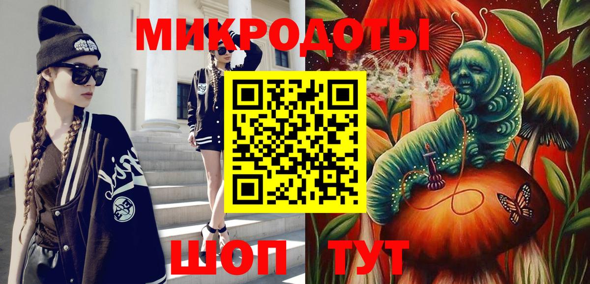 Псилоцибиновые грибы Psilocybine cubensis Волжский
